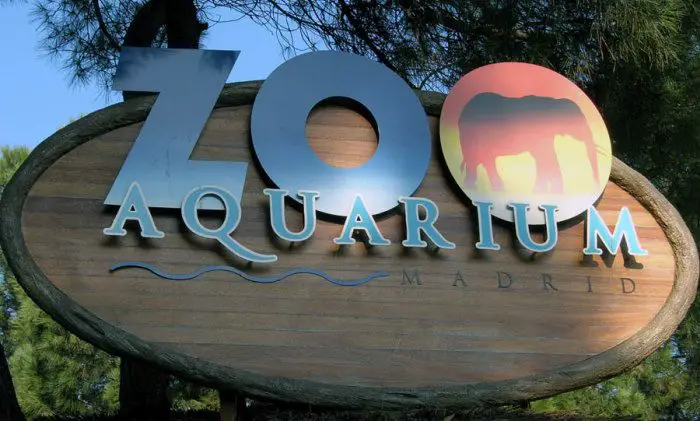 zoo aquarium de madrid