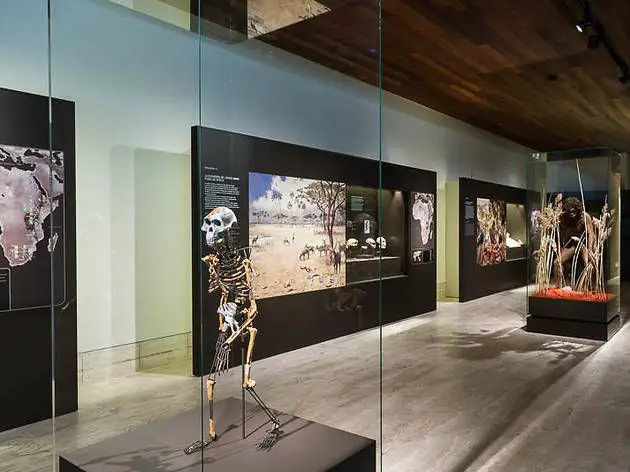 Museo Aruqeologico nacional de Madrid
